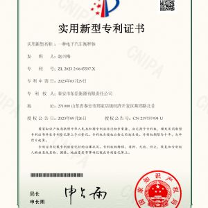 202320645597X一種電子汽車衡稱體